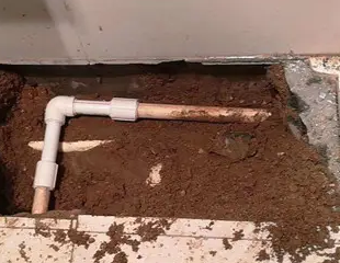 衡东测漏水哪家好