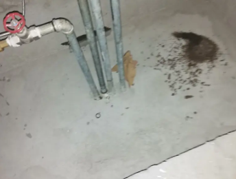 衡东卫生间测漏水价格明细