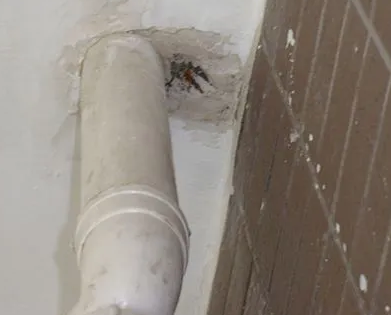 衡东漏水检测哪家好